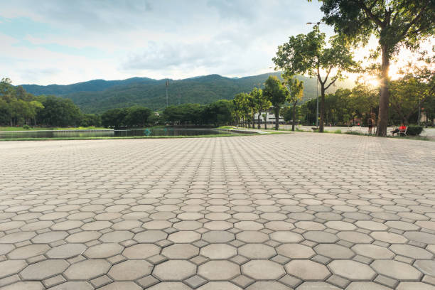 Paver Driveway Replacement in La Vernia, TX