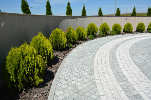 Best Affordable Driveway Pavers  in La Vernia, TX